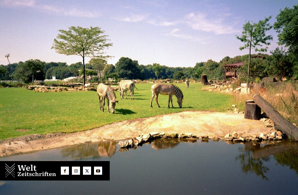 petra friedrich zoo leipzig todesursache